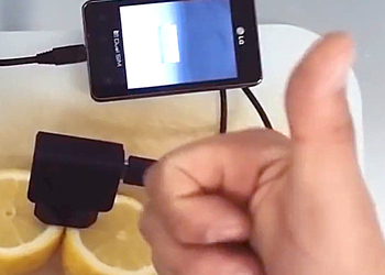 Опубликовано видео как зарядить телефон при помощи лимона