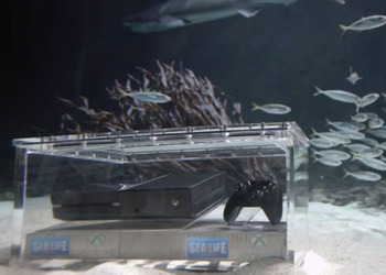 Фото Xbox One в аквариуме в Новой Зеландии