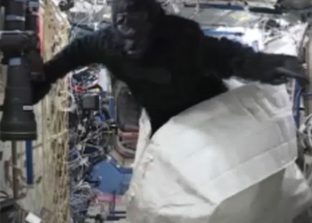 Нападение гигантской гориллы на астронавтов в космосе засняли на видео