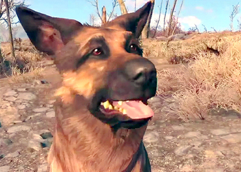 Псина из игры Fallout 4 существует в реальности