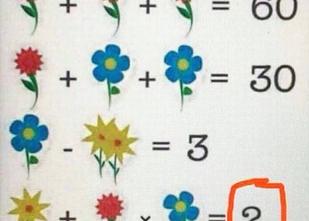 Детская задачка с цветочками взорвала интернет