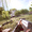 Шутер Islands of Nyne: Battle Royale для Steam предлагают получить бесплатно и навсегда