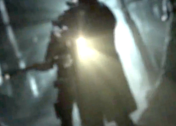 Экшен Hunt: Showdown от создателей Crysis 3 получил новый трейлер