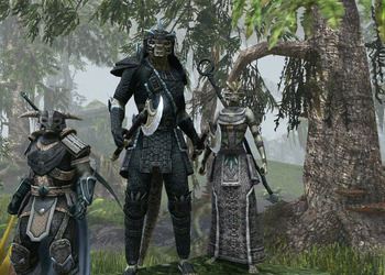 Игроки The Elder Scrolls Online будут участвовать в постоянном противостоянии трех альянсов