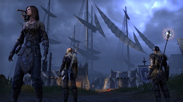 Создатели The Elder Scrolls On-line добавили формальный аукцион для торговли игровыми объектами