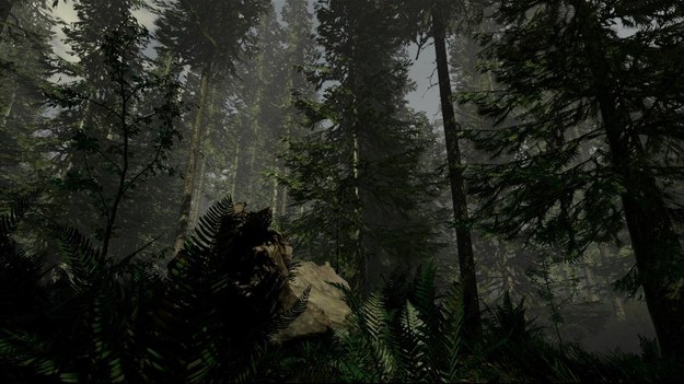 Выход игры The Forest прошел по платформе начального доступа в интернете Steam