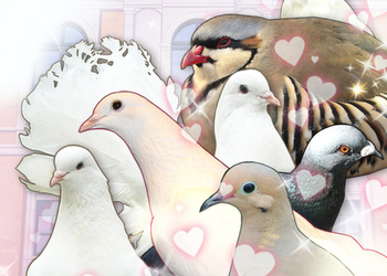 Симулятор постапокалиптических свиданий голубей, игра Hatoful Boyfriend, появится на новых платформах