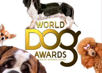 На World Dog Awards выбрали лучшую собаку из видеоигр