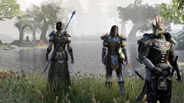 Создатели The Elder Scrolls On-line добавили формальный аукцион для торговли игровыми объектами