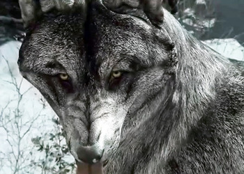 Разработчики Call of Duty: Ghosts выпустили дополнение с единственным скином волка за 2 доллара США