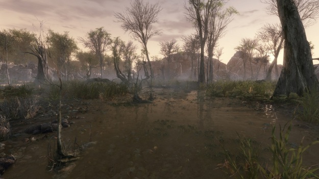 Игроки узнали истину, отчего в DVD Projekt отказались от применения CryEngine для подготовки The Witcher 3
