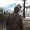 Red Dead Redemption 2 новую графику отражений с тенями показали