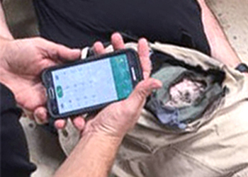 В кармане школьника из Рязани на уроке взорвался смартфон