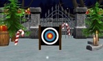 Christmas Night Archery