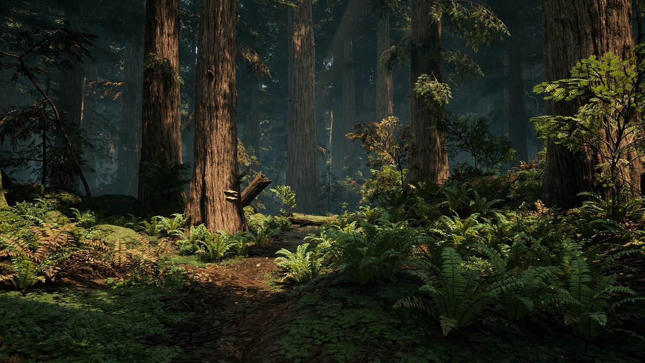 Redwood Forest ue4