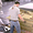 В Serious Sam 4 нашли утраченный Ковчег Завета и открыли его