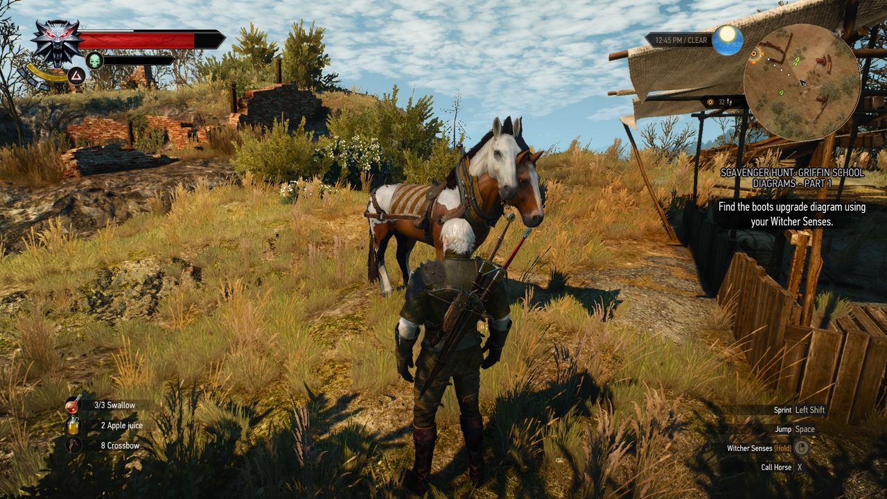 The witcher 3 griffin school hunt фото 105