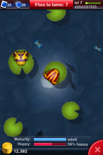Pocket Frogs