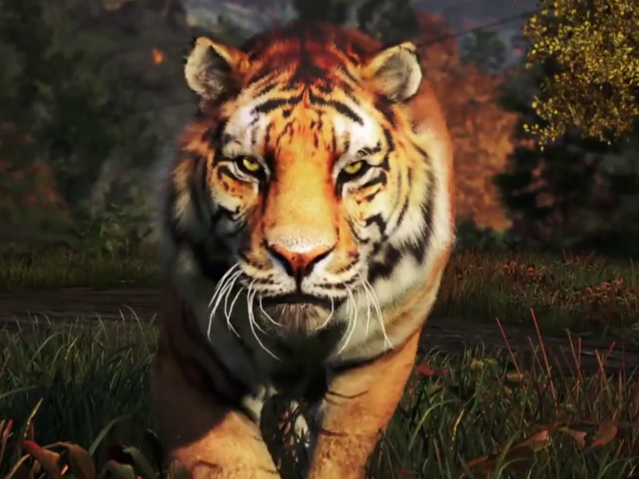 O far. Far Cry 4 Шангри ла. Фар край 4 тигр Шангри ла арт. Far Cry 4 Шангри ла тигр слон.