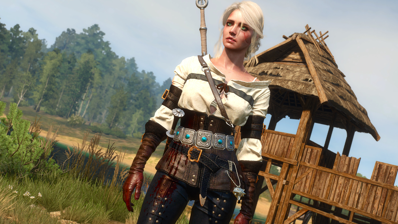 The witcher 3 вес фото 96