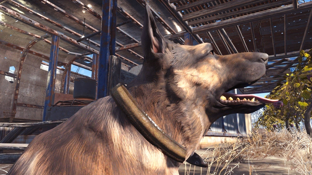 Fallout 4 все собаки фото 112