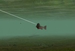 Reel Fishing: Angler's Dream