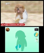 Nintendogs &amp; Cats
