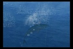 Reel Fishing: Angler's Dream