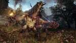Blades of Fire