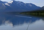 Reel Fishing: Angler's Dream