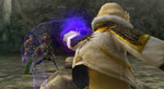 Final Fantasy Crystal Chronicles: The Crystal Bearers