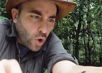 На видео засняли реакцию человека на самый-самый болезненный укус насекомого в мире