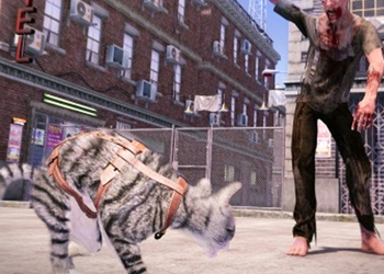 Анонсирована игра Max & Maya: Cat Simulator про выживание кошек в мире зомби-апокалипсиса