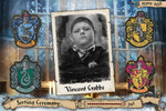 Scene It? Harry Potter