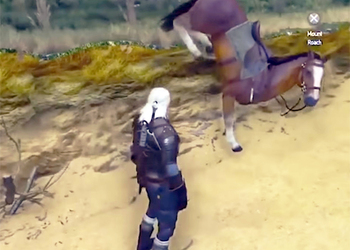 Разработчики The Witcher 3 добавили Плотве багов и превратили в говорящую лошадь