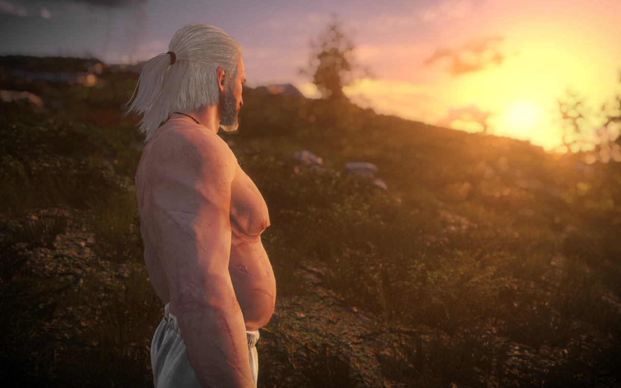The witcher 3 вес фото 112
