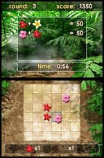 Zenses: Rainforest