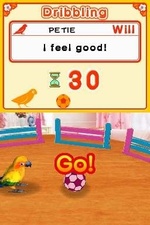 Discovery Kids: Parrot Pals