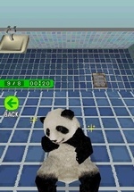National Geographic Panda
