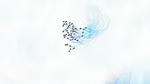 Gathering Sky