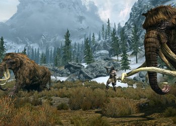 Разработчики The Elder Scrolls V: Skyrim делают игру для себя, а не для широких масс