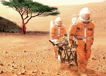 Ученые приступили к созданию живых организмов для изменения климата Марса