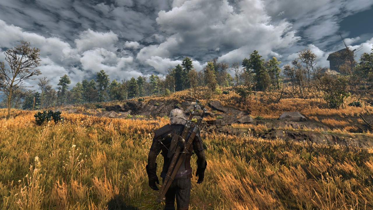 The witcher 3 fps boost фото 44