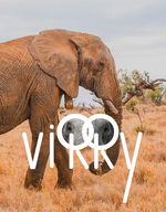 Virry VR