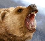 Bear Simulator