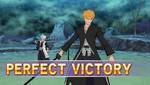 Bleach: Heat the Soul 5