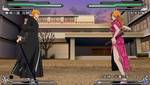 Bleach: Heat the Soul 5