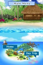 Discovery Kids: Dolphin Discovery