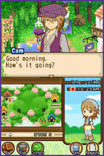 Harvest Moon: The Tale of Two Towns