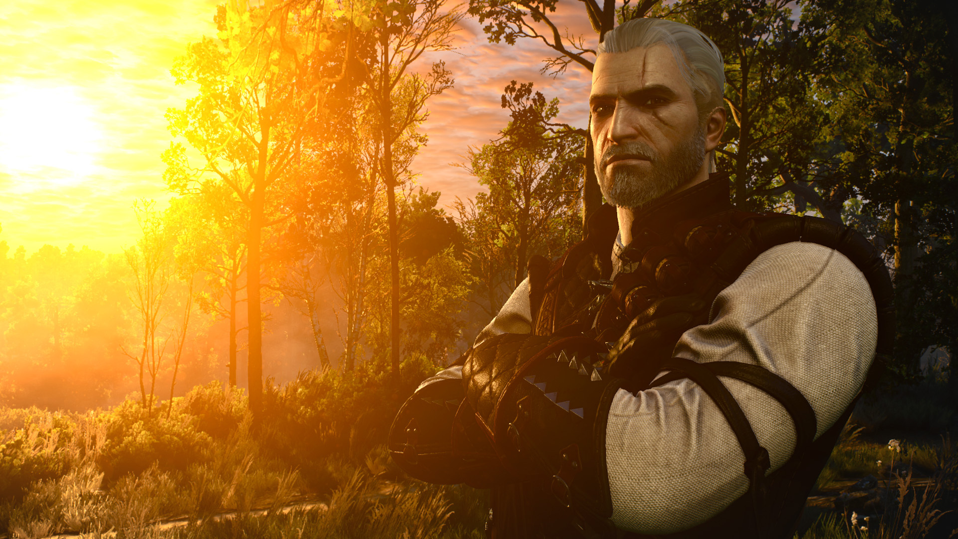 Geralt doppler at the witcher 3 фото 112